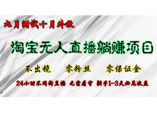 淘宝无人直播最新玩法，九月测试十月外放，不出镜零粉丝零保证金，24小…